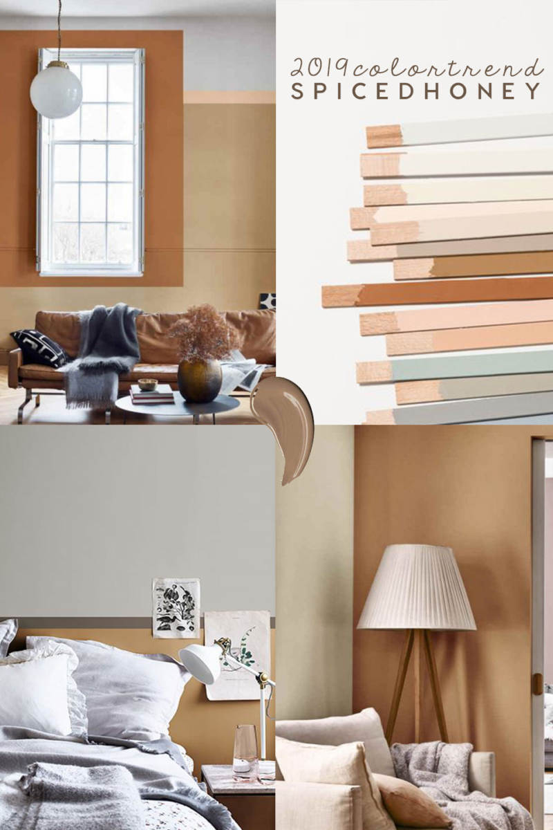 COLOUR TRENDS | Color of the year 2019 for Interiors by ColourFutures
