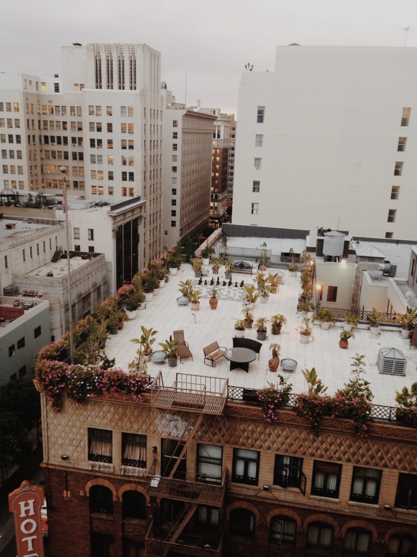 rooftop-garden-2