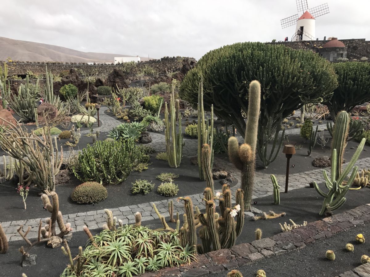 Manrique architecture, Jardin de cactus lanzarote, The top attractions by Manrique in Lanzarote to visit if you love design: our guide to the best things to see in lanzarote, Canarias